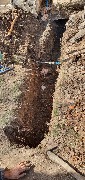20250314_123406.jpg