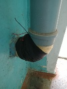 IMG_20250520_124818_406.jpg