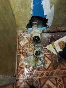 IMG_20250528_150438_555.jpg