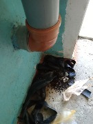 IMG_20250520_124818_672.jpg